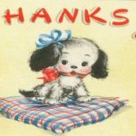 Grateful puppy on the mat