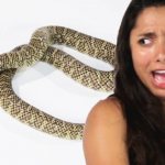 Fear of reptiles-hepertophobia