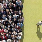 What is herd mentality: how to manage it and get rid of it?