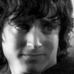Frodo is a typical representative of psychasthenics: timid, anxious, distrustful, conscientious