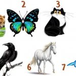 psychological test what animal could you be