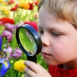 Development of perception in preschoolers