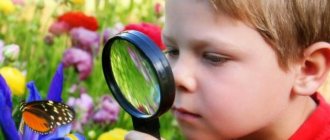 Development of perception in preschoolers