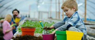 Ребенок сажает растение в саду